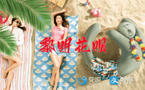 ﻿沧海一粟花呗